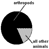 arthropod pie chart