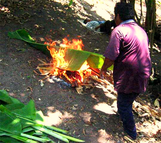 Firing banana leaves