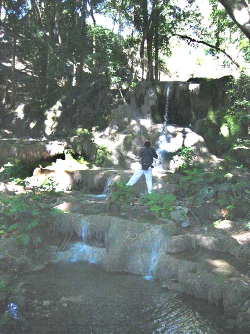 carbonate deposition in rimmed pools