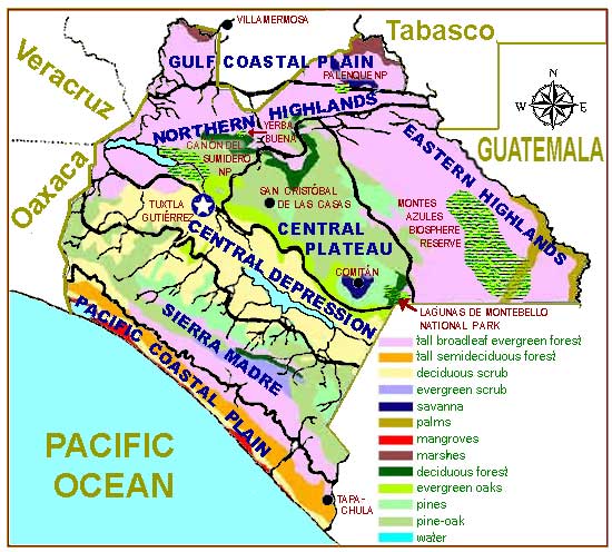 Vegetation map of Chiapas