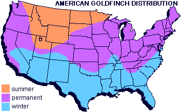 distribution map of American Goldfinch