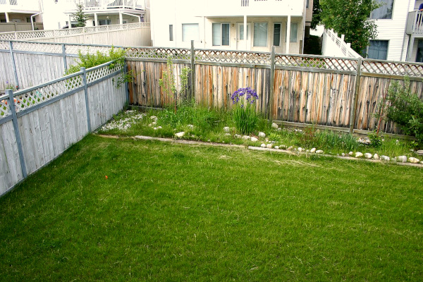 Mack Male's backyard in Edmonton, Alberta, Canada; image courtesy of Mack Male