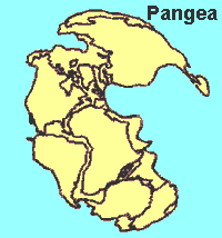 Pangea