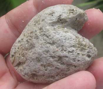 pumice rock