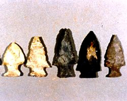Projectile points found at the Jaketown Site; image courtesy of US National Park Service