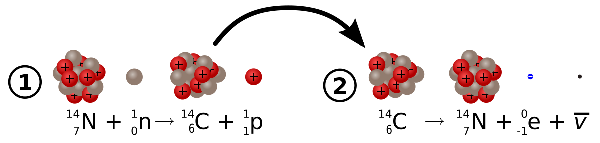 Decay of Carbon-14; image derived from work by 'Sgbeer,' via Wikipedia Commons