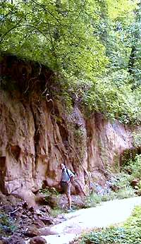 Loess face in bayou near Natchez