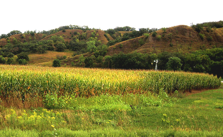 Loess hills in Iowa; image courtesy of Bill Whittaker & Wikimedia Commons