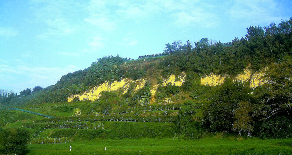 Loess bluffs in the Rhine Valley, near Eichstetten am Kaiserstuhl, Baden-Württemberg, Germany; image courtesy of 'Pictures Jettcom' and Wikimedia Commons