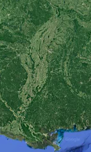satellite view of lower Mississisippi Valey