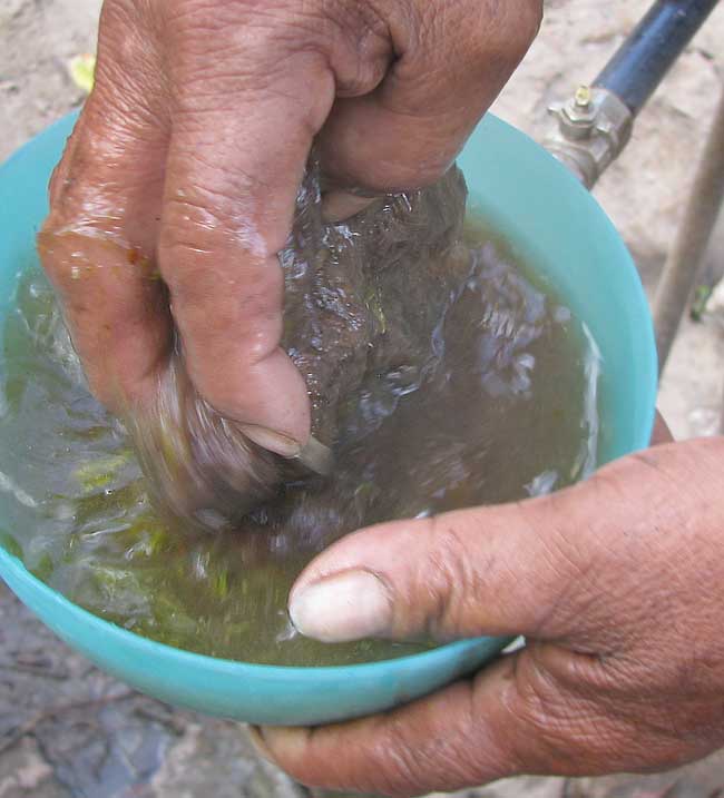 Fibers from the two sources are mixed with quick movements of the hand.