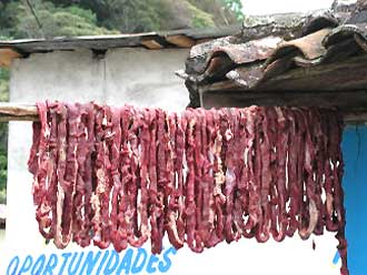 tafajo in Chiapas