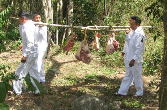 carrying pork to pit for cochinita pibil