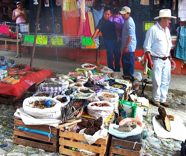 Medicinal herbs sold in Jalpan, Querétaro