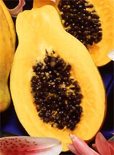Papaya, image by Scott Bauer, courtesy of USDA Agricultural Research Service