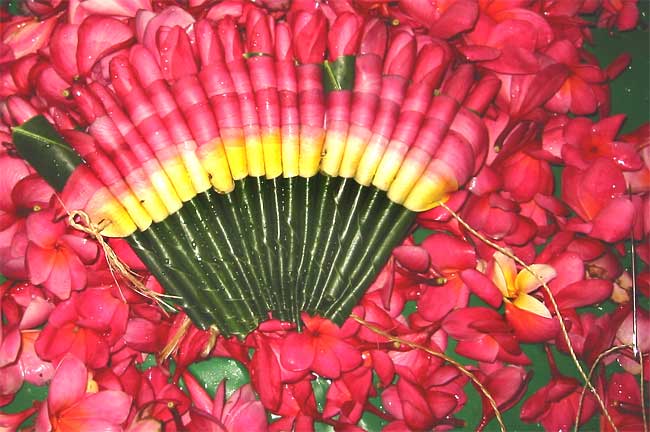 flores usado en nuestras ceremonias