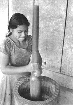 A young Tzotzil speaker pounds husks from locally grown rice