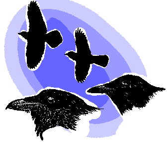 Raven and Crow comparison