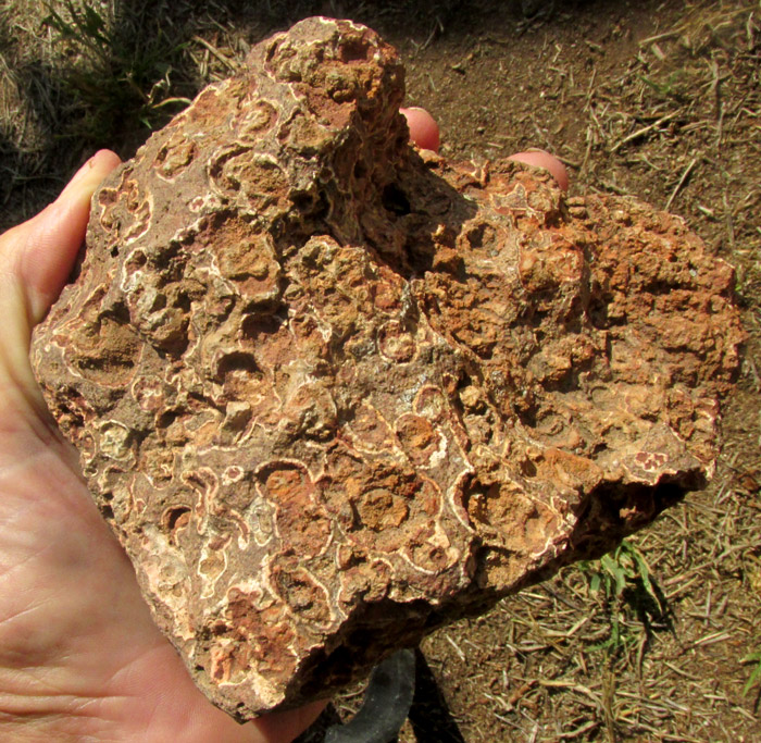 amygdules in rhyolite rock