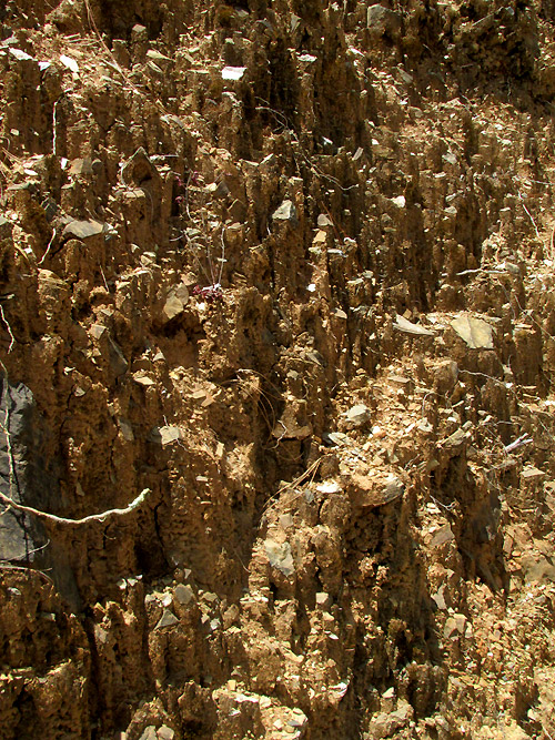 Roadcut Pedestal Erosion