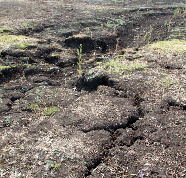 cracks developing into a gully