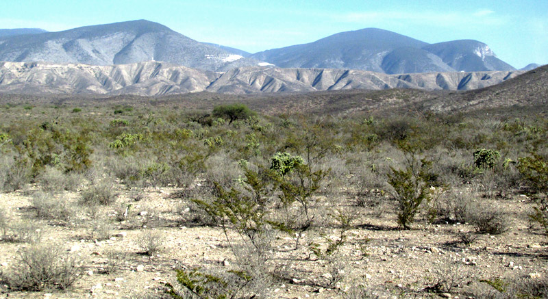 Geology of the Vizarrón Marble Zone