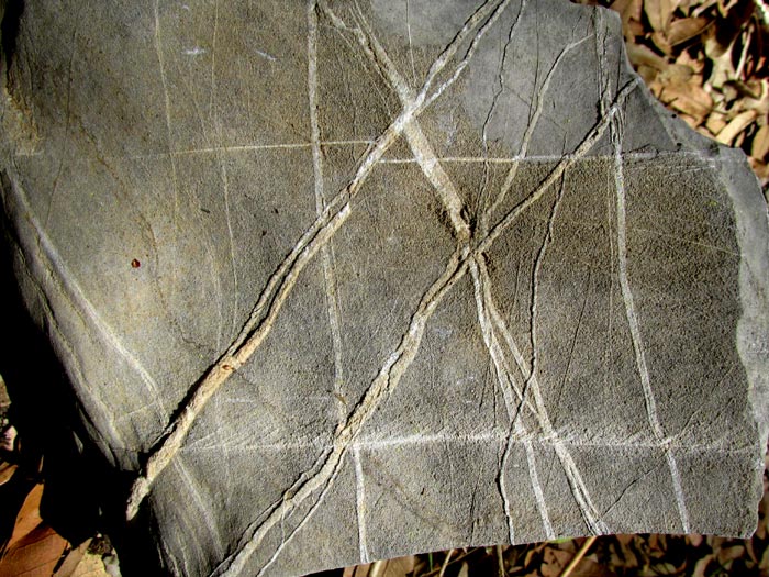 calcite-filled fractures in limestone rock