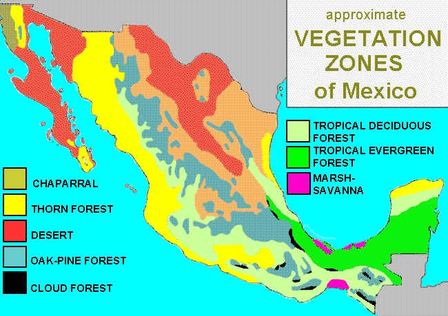 Vegetation map of Mexico