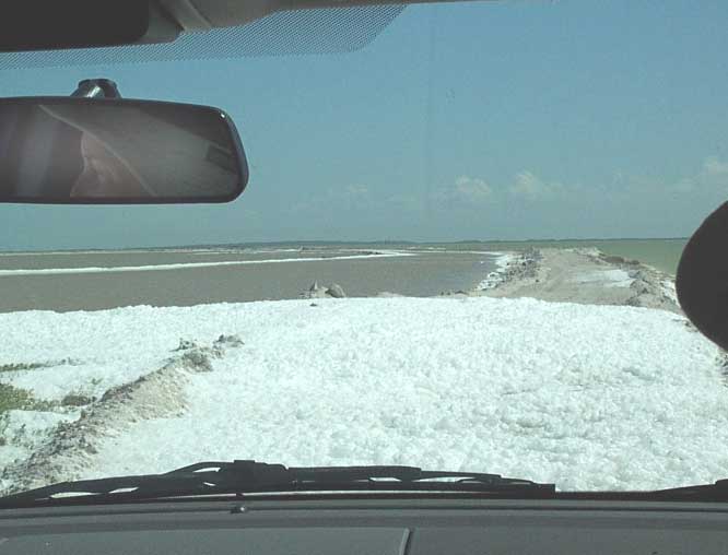 beach foam across road