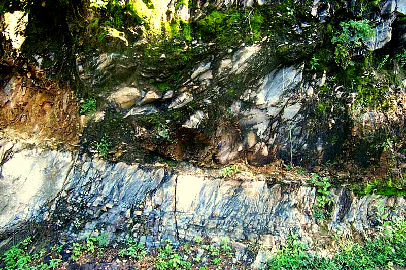 fault displayed in roadcut