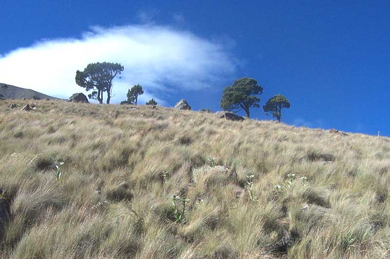 near the top of Nevada Toluca Volcano above Toluca, Mexico State, Mexico