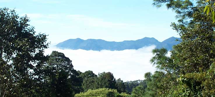 clouds in the valley