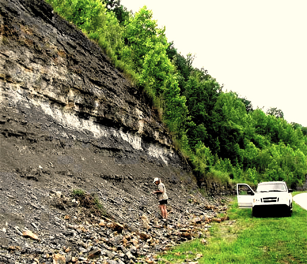 Roadcut in Tennessee