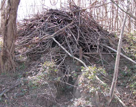 BEAVER LODGE SHOWING ENTRANCES