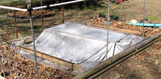 coldframe