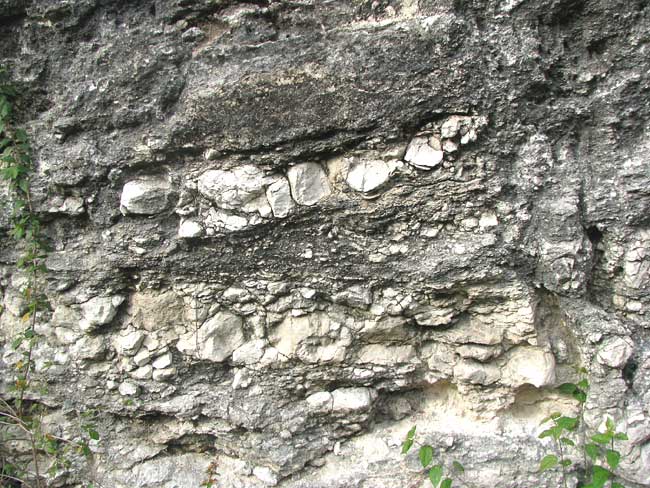 roadcut in limestone beside ruins of Chichen Itza, Yucatan, Mexico