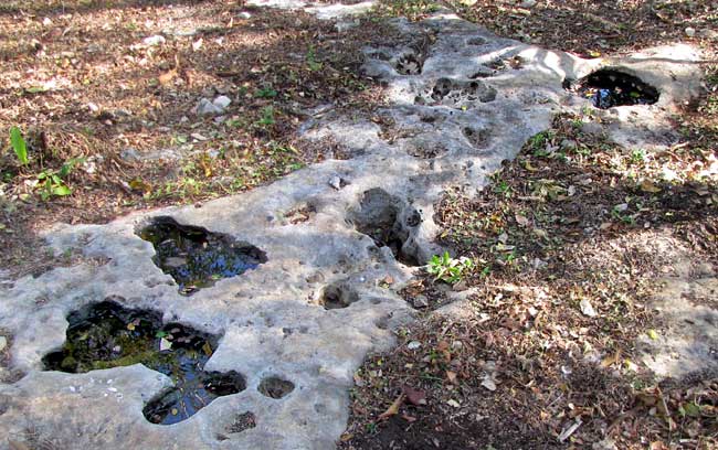 Haltún, or natural depression in limestone holding drinking water for wildlife