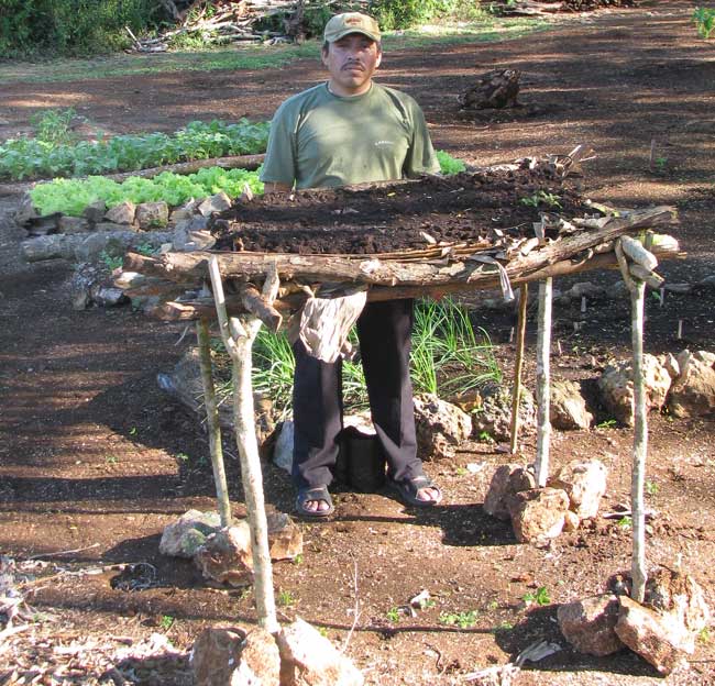 Canché, traditional Maya raised bed