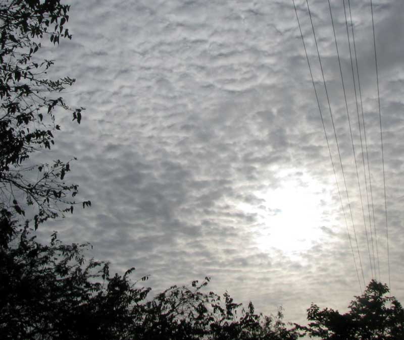 stratus becoming stratocumulus