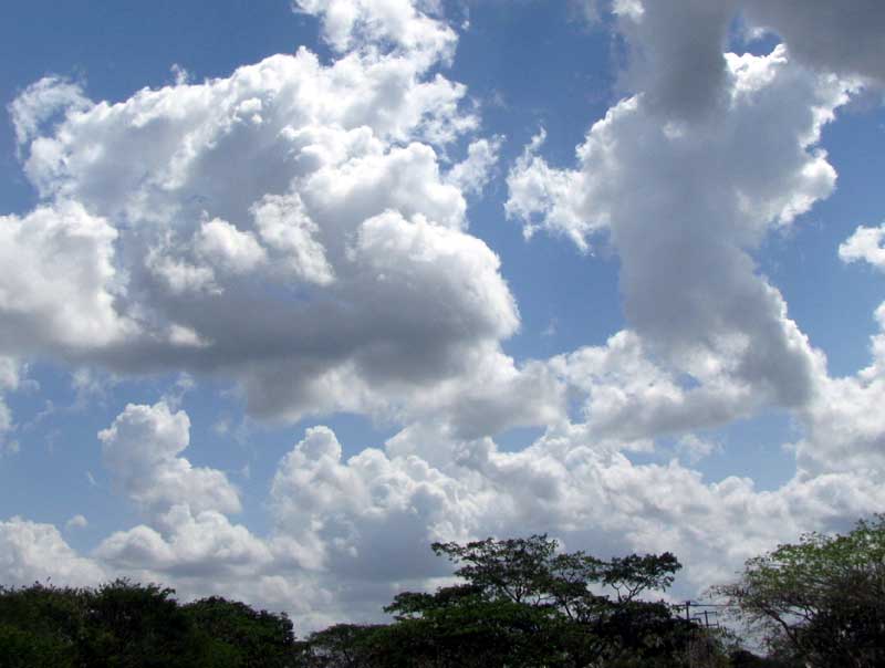 CUMULUS MEDIOCRIS CLOUDS