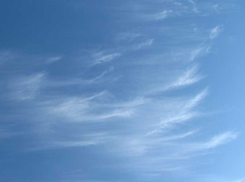 Cirrus uncinus clouds