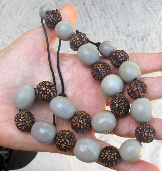 necklace made of beans of Gray Nickernut, CAESALPINIA BONDUC