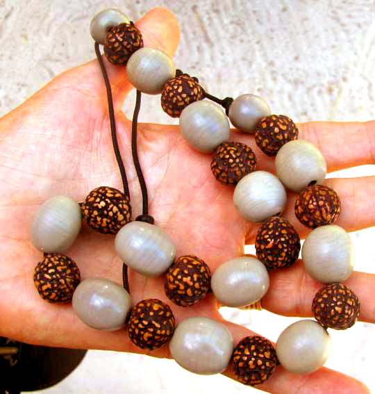 necklace made of beans of Gray Nickernut, CAESALPINIA BONDUC