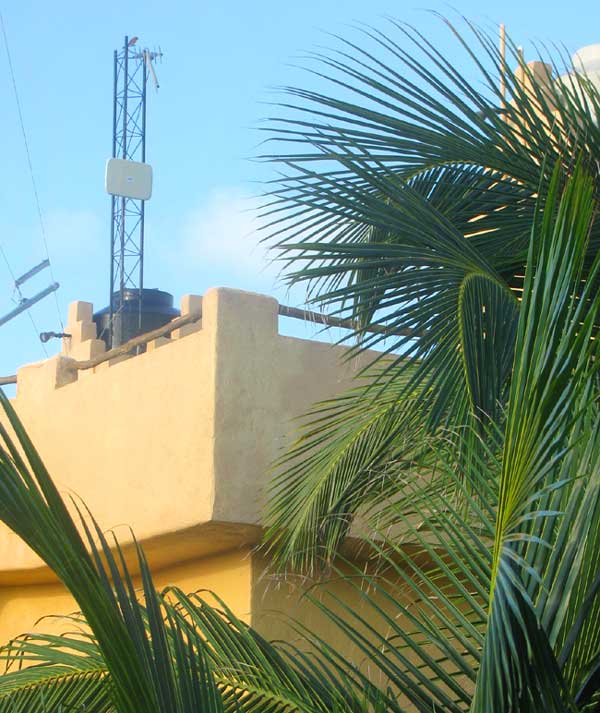 tower framed by Coconut Palm fronds