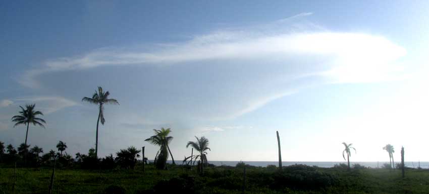 Dissipating Anvil-head Thunderstorm, CUMULONIMBUS INCUS