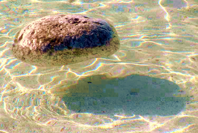pumice rock floating on water