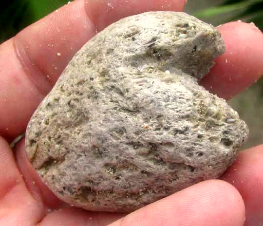 Pumice rock with a notch cut in it with a pocketknife