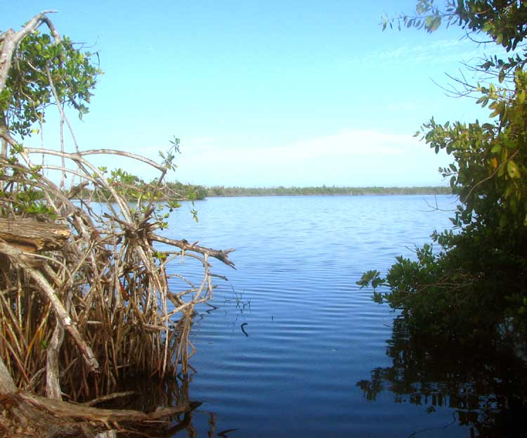 coastal lagoons