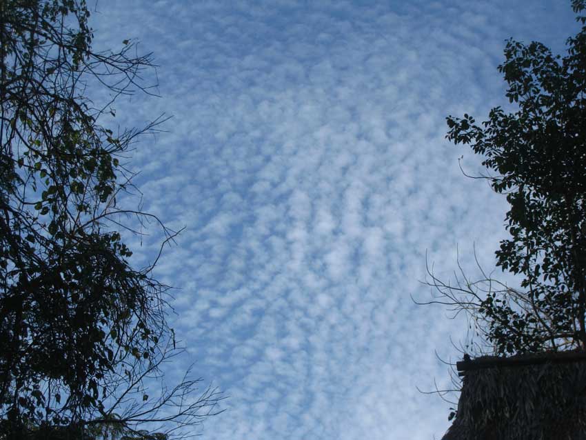 ALTOCUMULUS PERLUCIDUS CLOUDS