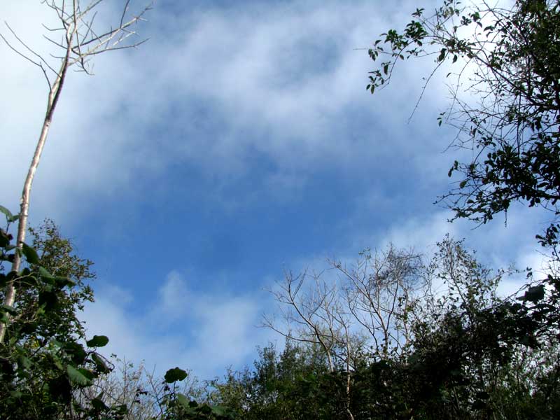 STRATUS FRACTUS clouds